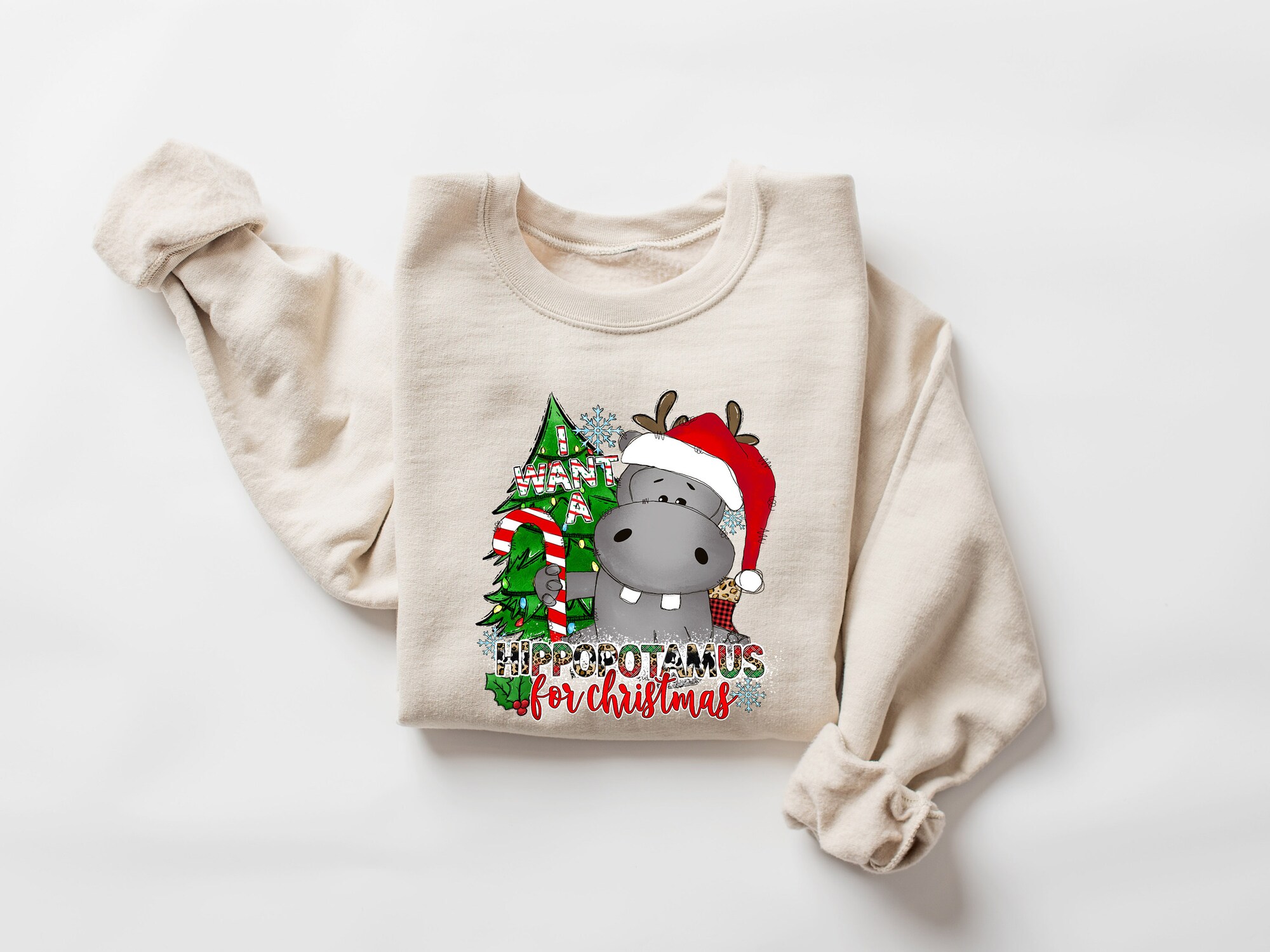 I Want a Hippopotamus for Christmas Shirt Hippo Family Matching Sweatshirt image 3