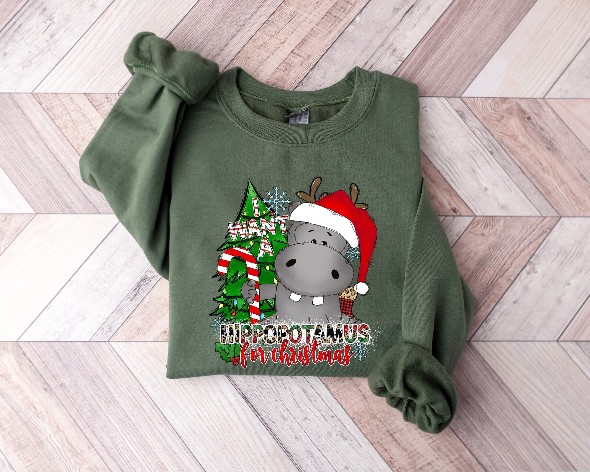 I Want a Hippopotamus for Christmas Shirt Hippo Family Matching Sweatshirt image 0
