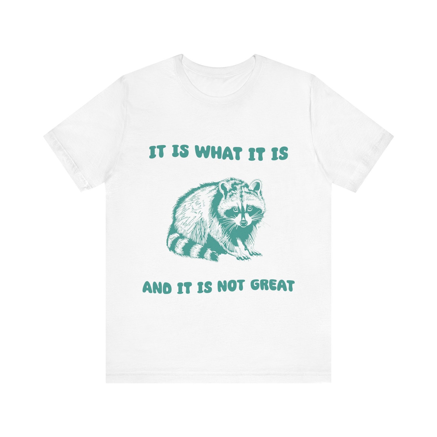 It Is What It Is Funny Retro Vintage T-Shirt | Humorous Gift for Friends | Retro Design Tee image 2