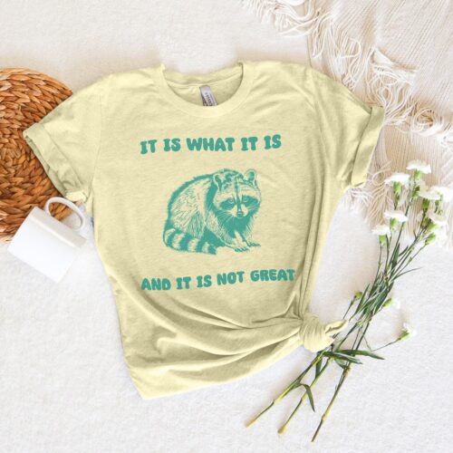 It Is What It Is Funny Retro Vintage T-Shirt | Humorous Gift for Friends | Retro Design Tee image 0