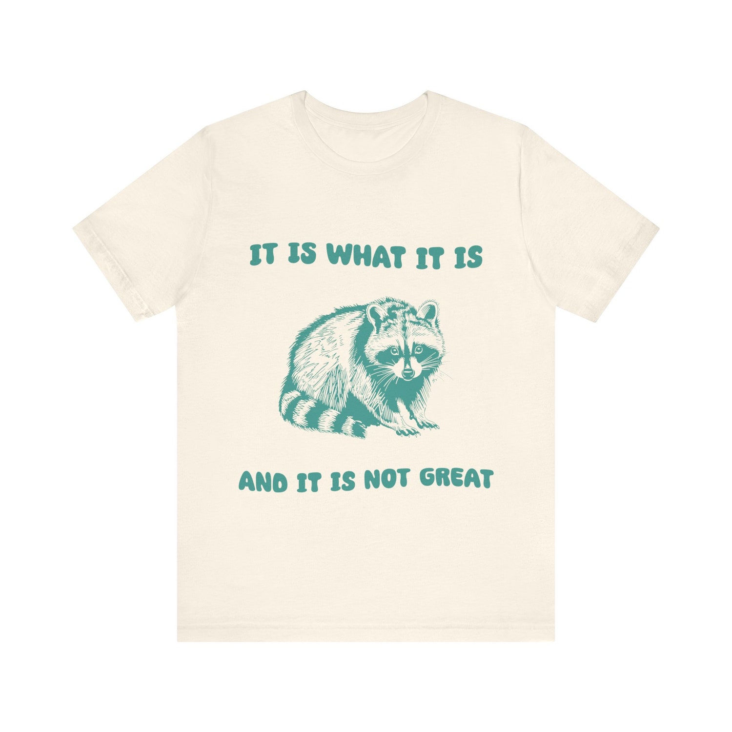 It Is What It Is Funny Retro Vintage T-Shirt | Humorous Gift for Friends | Retro Design Tee image 3